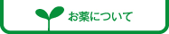 お薬について
