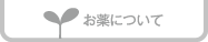 お薬について